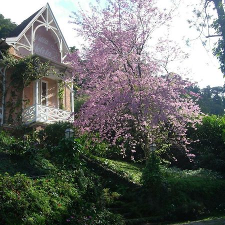 Villa Violeta Petrópolis Extérieur photo