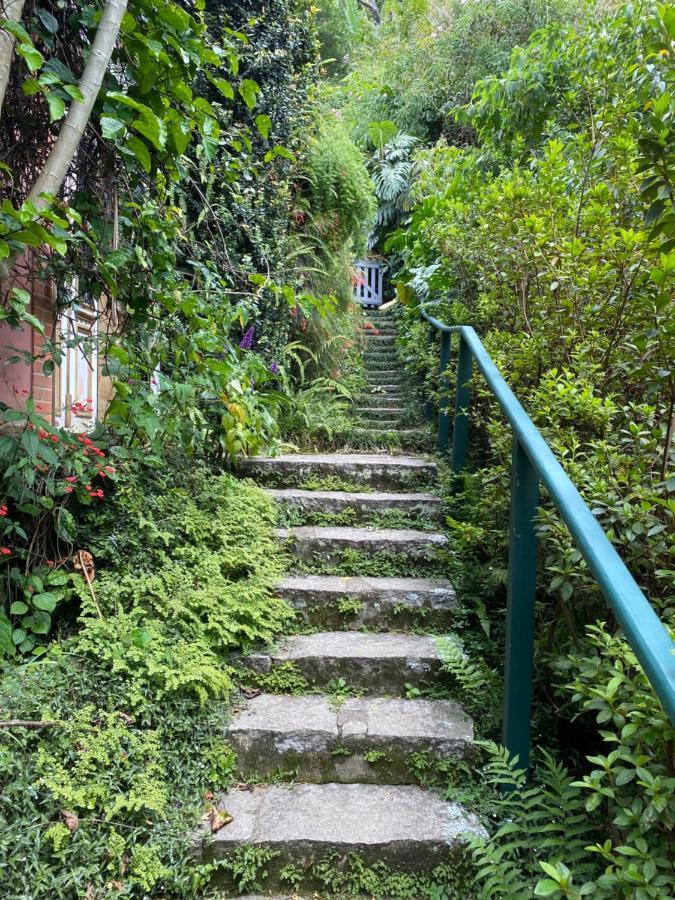 Villa Violeta Petrópolis Extérieur photo