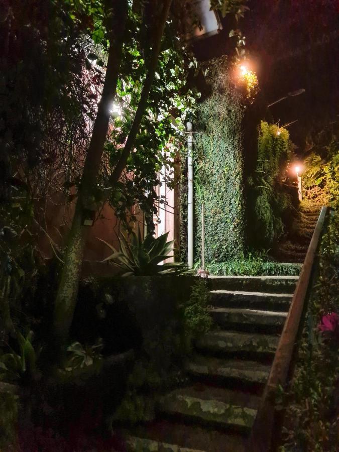 Villa Violeta Petrópolis Extérieur photo