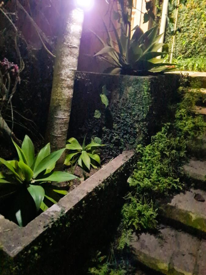 Villa Violeta Petrópolis Extérieur photo