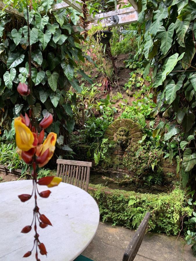 Villa Violeta Petrópolis Extérieur photo