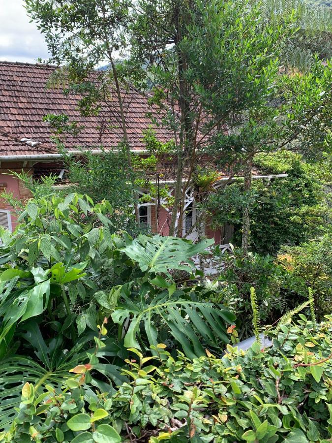 Villa Violeta Petrópolis Extérieur photo
