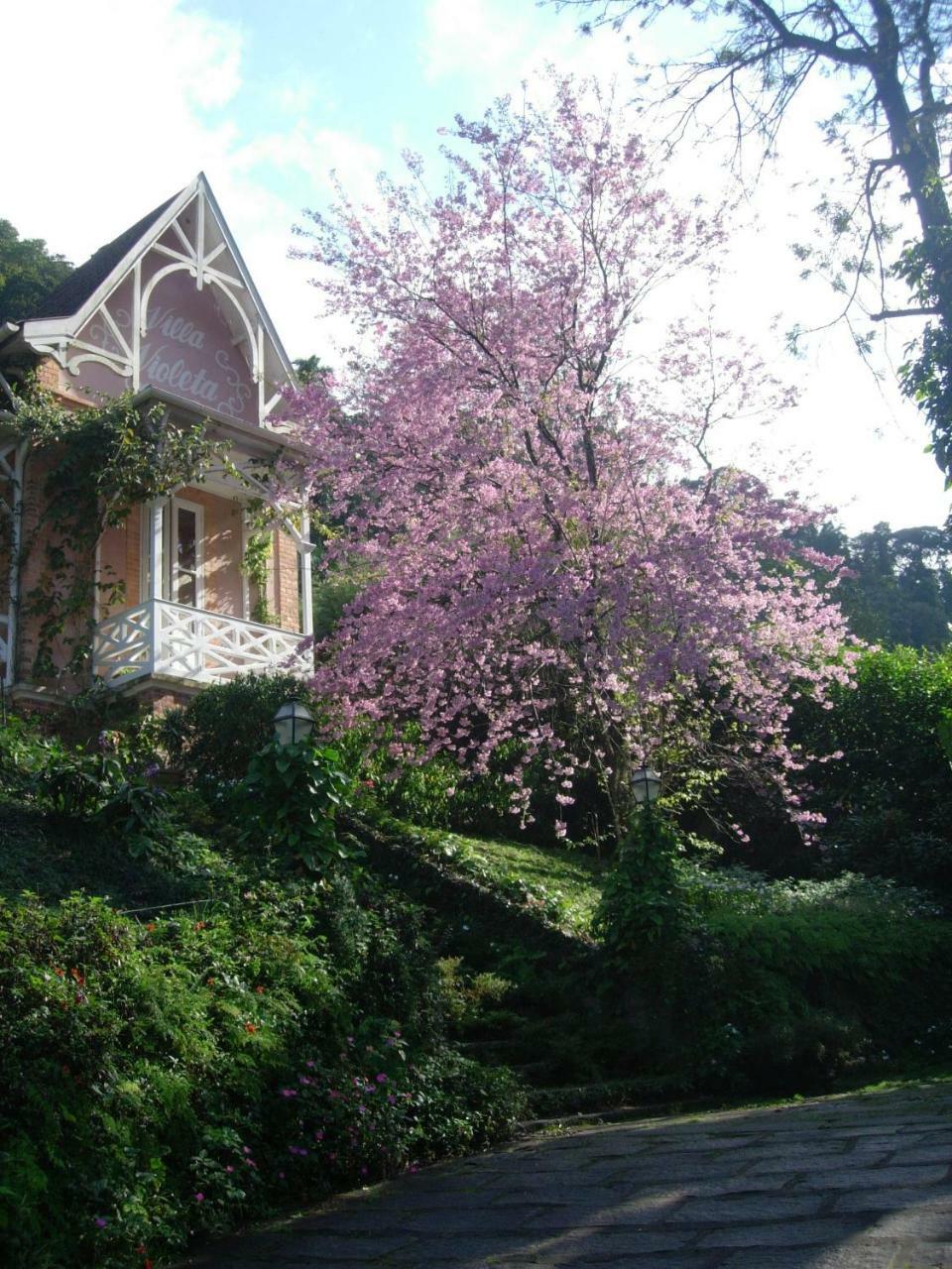 Villa Violeta Petrópolis Extérieur photo