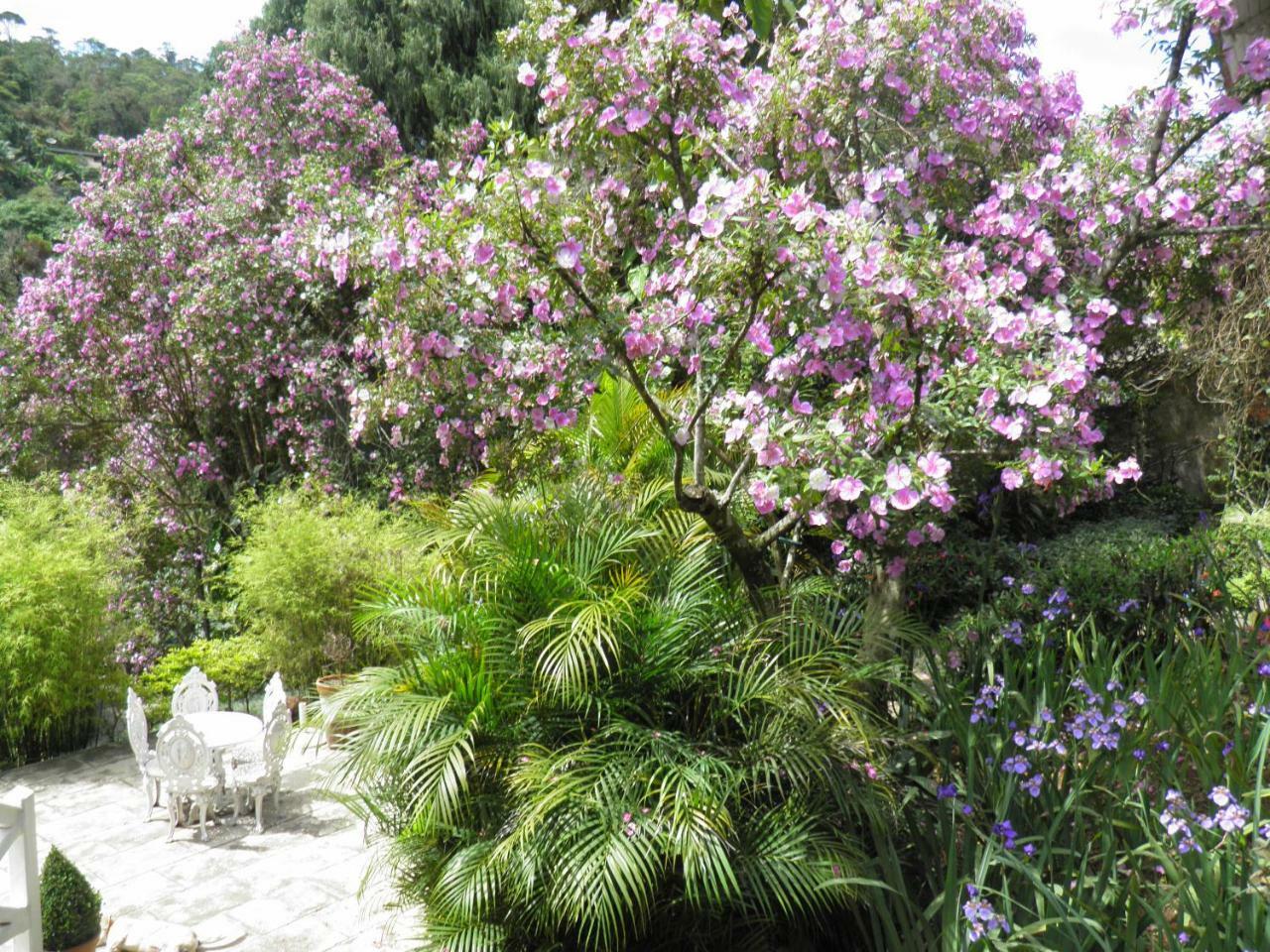 Villa Violeta Petrópolis Extérieur photo
