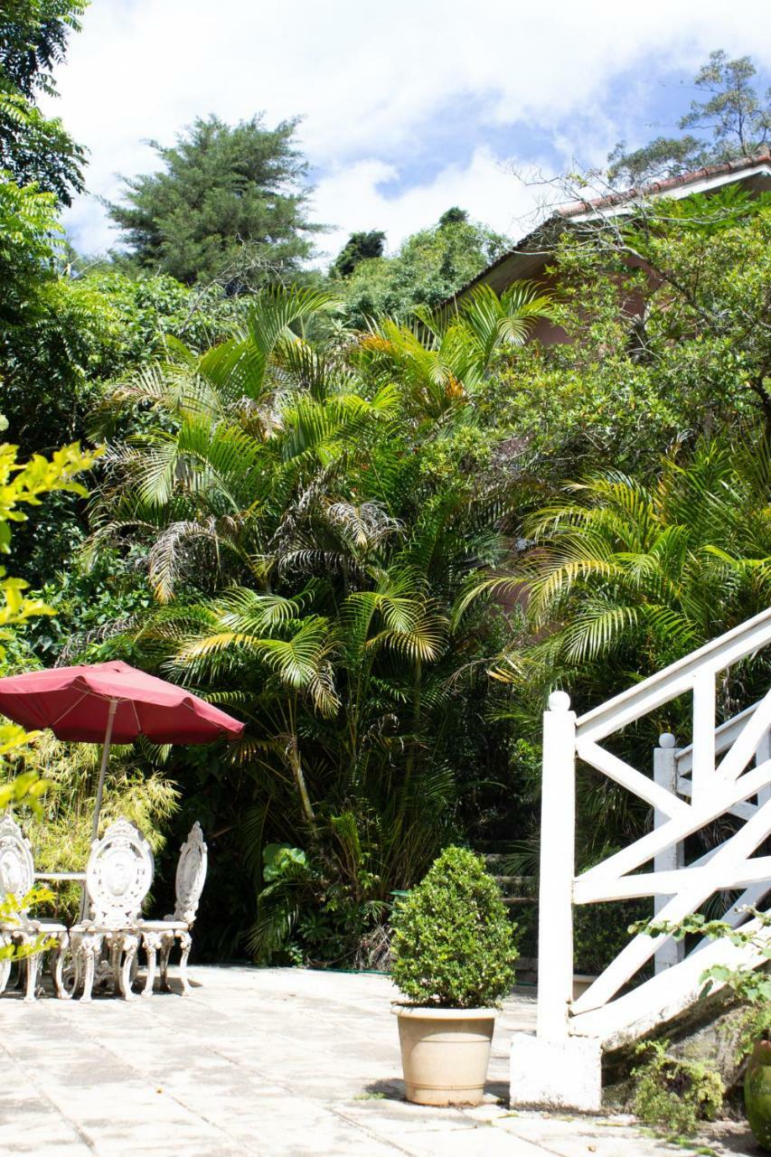 Villa Violeta Petrópolis Extérieur photo