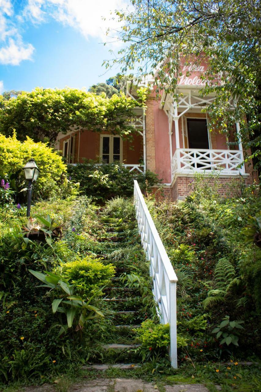 Villa Violeta Petrópolis Extérieur photo