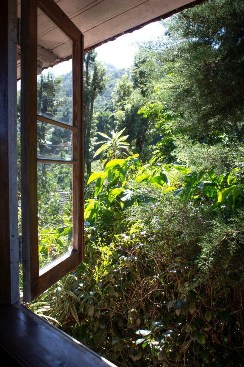Villa Violeta Petrópolis Extérieur photo